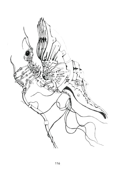 art, papillon