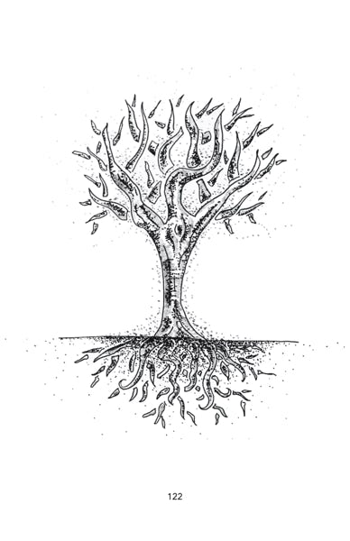Poesie, poemes, aphorismes, aphorisme, sagesse, mots