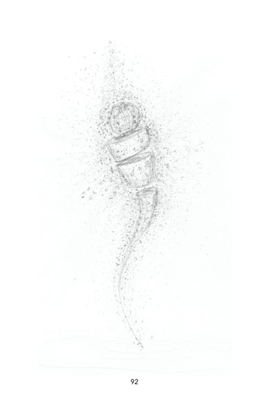 art, dessin, anima