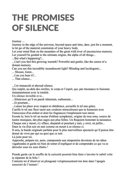 The promises of silence : Novel by Laurent Vitureau about teh answer of the promises of the silence.